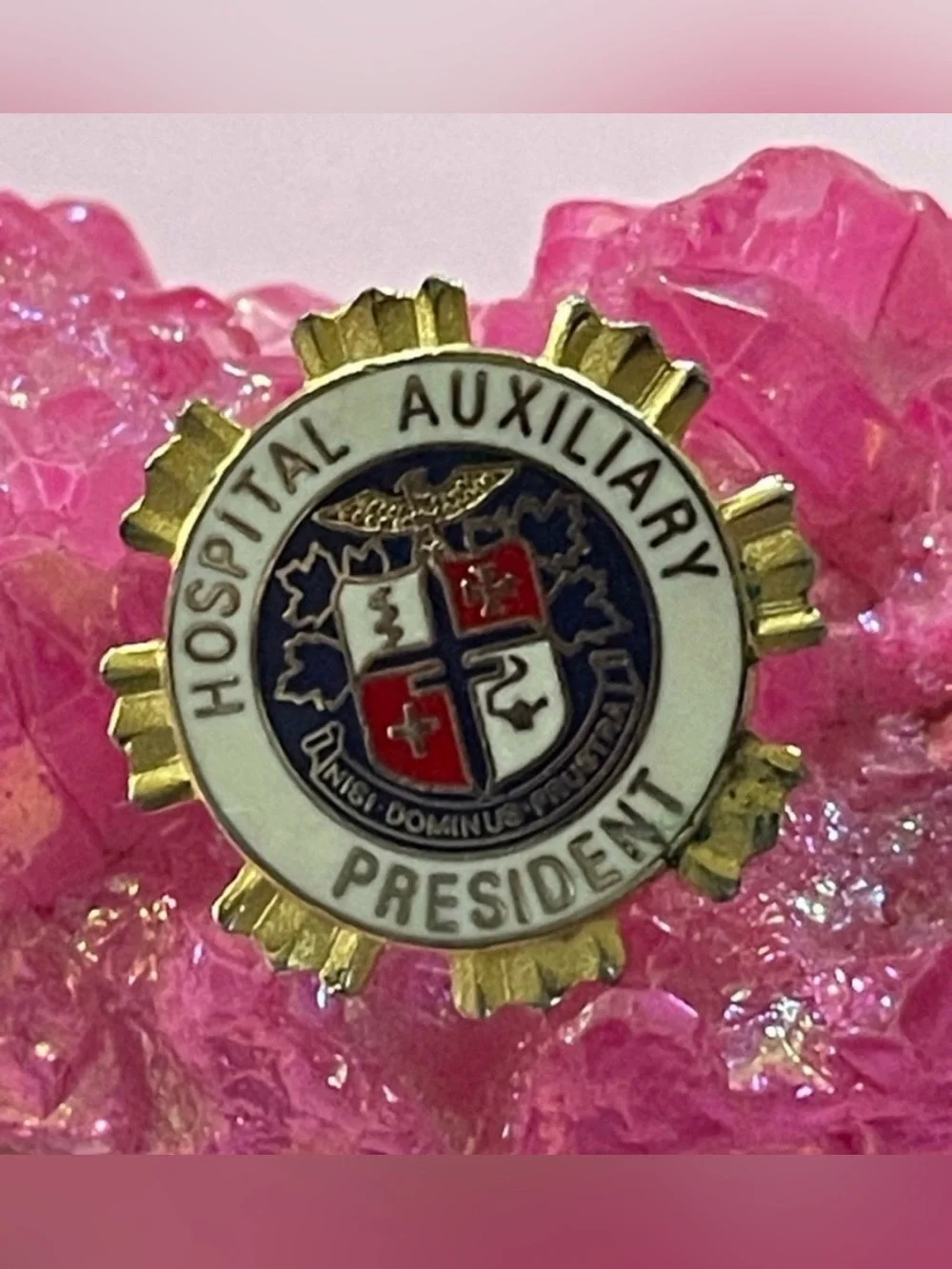 American Hospital Seal Hospital Auxiliary President Enamel Pin #9928 💎
